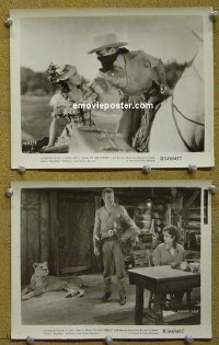 #6833 MAN OF THE FOREST 2 8x10s R50 Zane Grey 