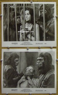 #4144 PLANET OF THE APES 2 8x10s '68 Heston