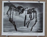 #041 TARANTULA 8x10 '55 gigantic spider! 