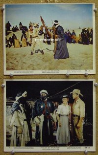 #4525 VALLEY OF KINGS 2 color 8x10 LCs '54