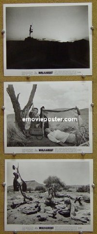 #4187 WALKABOUT 3 8x10s71 Roeg classic 