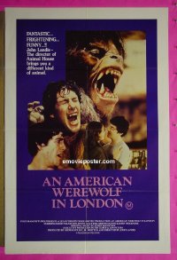 K011 AMERICAN WEREWOLF IN LONDON Australian one-sheet movie poster '81 Landis