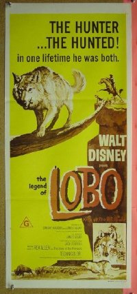 #579 LEGEND OF LOBO Aust daybill R1970s Walt Disney, King of the Wolfpack, art of hunted wolf!