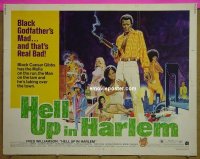 3539 HELL UP IN HARLEM '74 Williamson