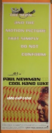 a189 COOL HAND LUKE insert movie poster '67 Paul Newman classic!