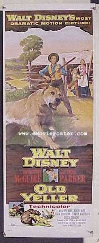a656 OLD YELLER insert movie poster '57 Disney, McGuire, Parker