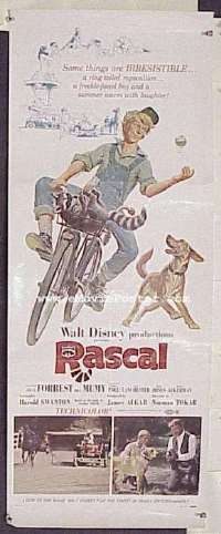 #567 RASCAL insert '69 Walt Disney 