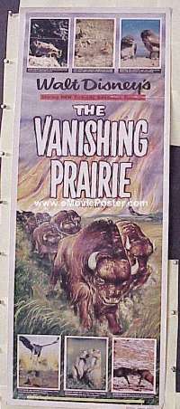 b019 VANISHING PRAIRIE insert movie poster '54 Disney nature docu!