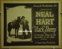 #5212 BLACK SHEEP TC '21 Neal Hart 
