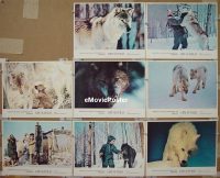 #602 CRY OF THE WILD set of 8 LCs '73 B.Mason 
