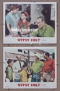 #5089 GYPSY COLT 2 LCs '54 Dee, Corcoran 