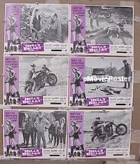#4376 HELL'S BELLES 6 LCs '69 sexy bikers! 