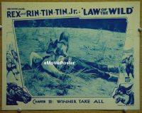 #203 LAW OF THE WILD Chap 11 LC #7 '34 serial 