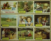 #701 OLD YELLER 9 LCs '57 Disney,McGuire 