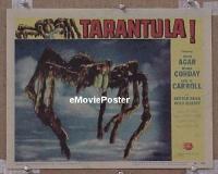 #176 TARANTULA LC #7 '55 gigantic spider! 