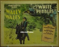 #017 WHITE PEBBLES TC '27 Wally Wales 