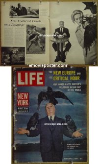 #2990 LIFE MAGAZINE W/ BIRDS ARTICLE '63 