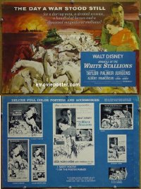 #1411 MIRACLE OF THE WHITE STALLIONS pb '63 