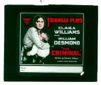 #259 CRIMINAL glass slide '16 Desmond 
