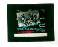 #317 MEDDLER glass slide '25 William Desmond 