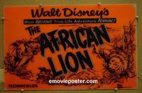 #4728 AFRICAN LION special poster '55 Walt Disney, jungle