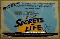 #4731 SECRETS OF LIFE special poster '56 Walt Disney