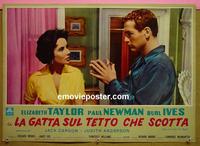#6670 CAT ON A HOT TIN ROOF Italian photobusta movie poster#1 '58
