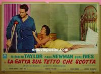 #6671 CAT ON A HOT TIN ROOF Italian photobusta movie poster#2 '58