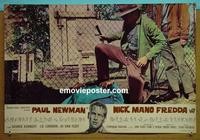 #6682 COOL HAND LUKE Italian photobusta movie poster #3 '67