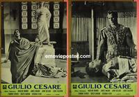 #6721 JULIUS CAESAR 2 Italian photobusta R60s cool images of Marlon Brando, Shakespeare!