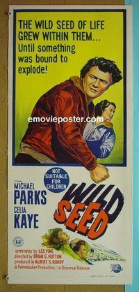 #7986 WILD SEED Australian daybill movie poster '65 Michael Parks