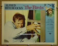 C830 BIRDS lobby card #6 '63 Hitchcock, Rod Taylor