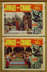 F985 JUNGLE OF CHANG 2 lobby cards '51 set in India,Swedish shot