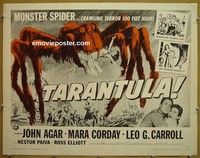 R875 TARANTULA half-sheet R64 gigantic spider!