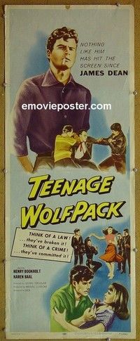 R336 TEENAGE WOLF PACK insert '57 Bookholt, Baal