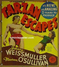 T335 TARZAN ESCAPES window card movie poster '36 Johnny Weissmuller