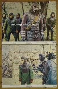 Y990 BATTLE FOR THE PLANET OF THE APES 2 deluxe 11x14 vintage stills '73