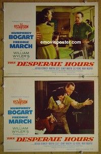 Z029 DESPERATE HOURS 2 lobby cards '55 Humphrey Bogart