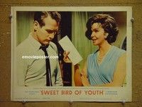 Z924 SWEET BIRD OF YOUTH lobby card #6 '62 Paul Newman