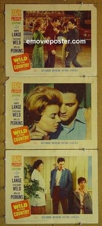 Y966 WILD IN THE COUNTRY 3 lobby cards '61 Elvis, Tuesday Weld