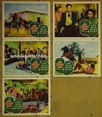 Y711 YOUNG LAND 5 lobby cards '58 Pat Wayne, Dennis Hopper