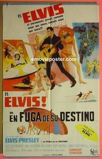 C476 CLAMBAKE Argentinean movie poster '67 Elvis Presley