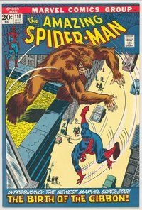E100 AMAZING SPIDER-MAN comic book #110 John Romita