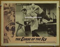 K758 CURSE OF THE FLY lobby card #8 '65 Donlevy, George Baker