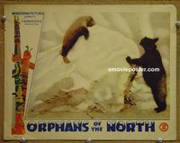 L369 ORPHANS OF THE NORTH lobby card '40 bear & seal!