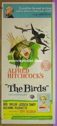 p097 BIRDS Australian daybill movie poster '63 Hitchcock, Rod Taylor
