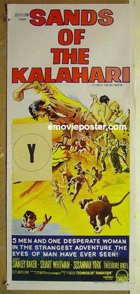 p662 SANDS OF THE KALAHARI Australian daybill movie poster '65 Whitman