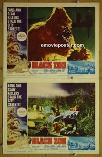 n241 BLACK ZOO 2 lobby cards '63 horror, human prey!