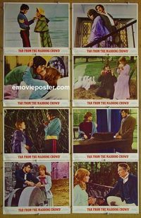 m242 FAR FROM THE MADDING CROWD complete set of 8 lobby cards '68 Julie Christie