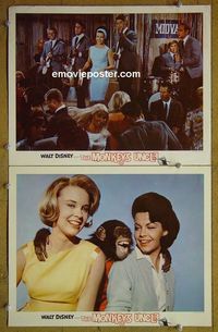 n327 MONKEY'S UNCLE 2 lobby cards '65 Annette Funnicello